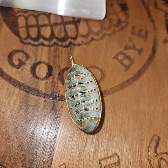 Vintage 90s Handmade Prehistoric Nautilus Shell Pendant - Picture 1 of 4